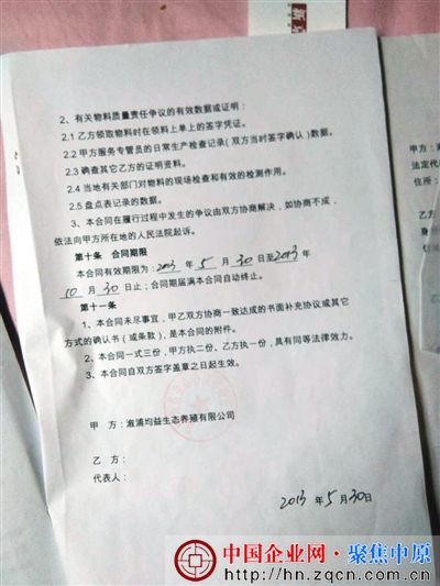 彭洲村养殖户向新京报记者出示的养殖合同(溆浦均益生态养殖有限公司为大康农业子公司)。
