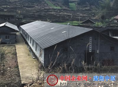 2月25日,湖南溆浦县彭洲村养殖户家废弃的猪场。B06-B07版摄影/新京报记者 张泉薇