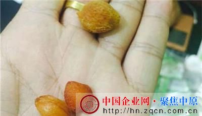 三批用李子代替青梅生产的随便果